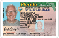 VALID? Check your Florida Driver's License